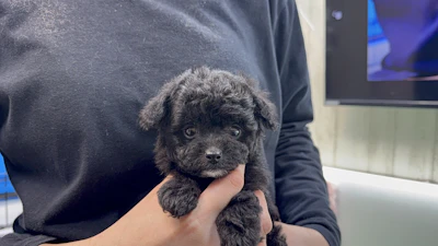 お問あせネーム・447ちゃんの写真 4