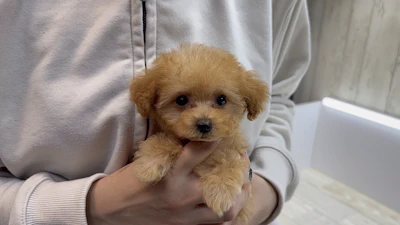 お問合せネーム・857ちゃんの写真 4