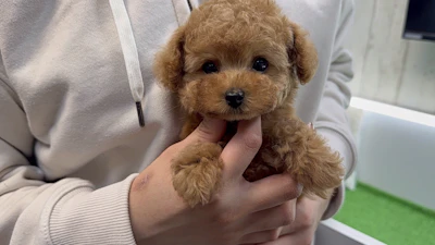 お問合せネーム・532くんの写真 4