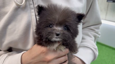 お問合せネーム・236ちゃんの写真 4