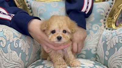 お問合せネーム・293ちゃんの写真 2