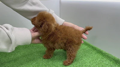 お問合せネーム・484ちゃんの写真 5