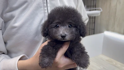 お問合せネーム・487ちゃんの写真 6