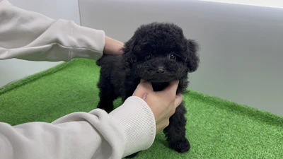 お問合せネーム・134ちゃんの写真 4