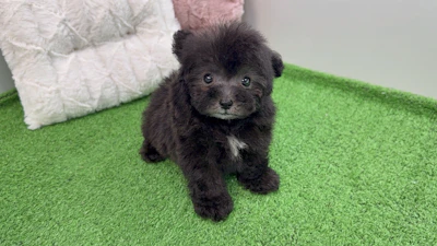 お問合せネーム・762くんの写真 2