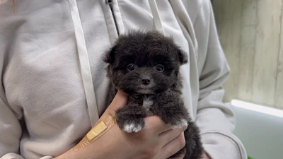 お問合せネーム・601ちゃんの写真 4