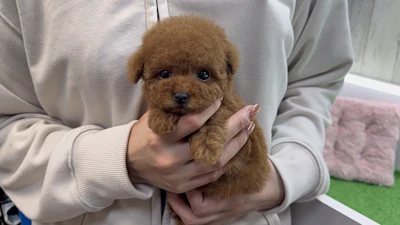 お問合せネーム・384ちゃんの写真 3