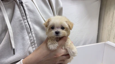 お問合せネーム・043ちゃんの写真 5