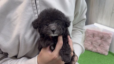 お問合せネーム・372ちゃんの写真 3