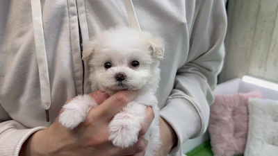 お問合せネーム・237ちゃんの写真 3