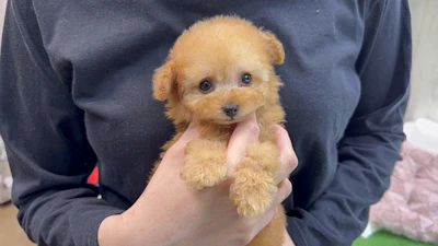 お問合わせネーム・484ちゃんの写真 4