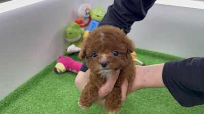 お問合せネーム・059くんの写真 6