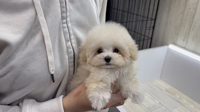 お問合せネーム・143ちゃん
