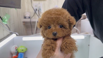 お問合せネーム・480ちゃんの写真 5