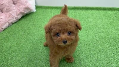 お問合せネーム211ちゃんの写真 3