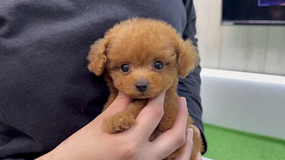 お問合せネーム・724くんの写真 4