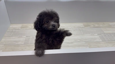 お問合せネーム・202ちゃんの写真 5