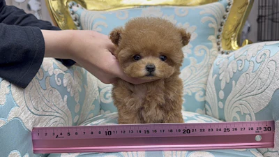 お問合せネーム・048ちゃんの写真 3