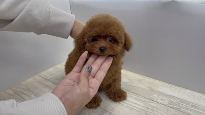お問合せネーム・540ちゃんの写真 6