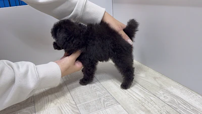 お問合せネーム・038ちゃんの写真 5