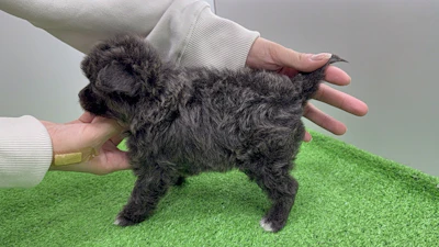 お問合せネーム・601ちゃんの写真 6