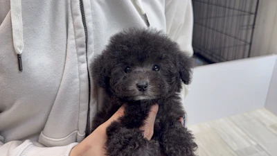 お問合せネーム・972ちゃんの写真 3