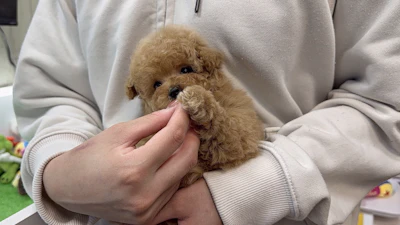 お問合せネーム・587ちゃんの写真 4