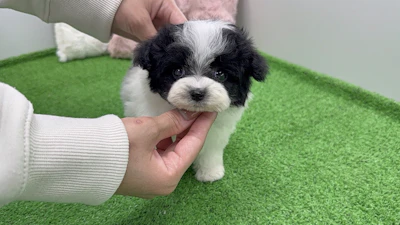 お問合せネーム・119ちゃんの写真 2