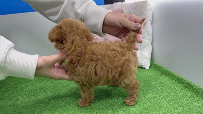 お問合せネーム・532くんの写真 7