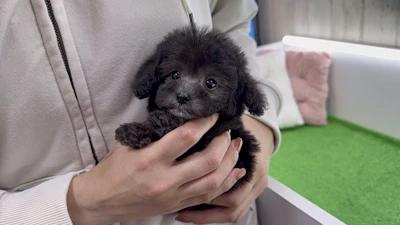 お問合せネーム・699ちゃんの写真 5