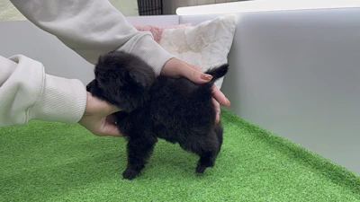 お問合せネーム・131ちゃんの写真 5