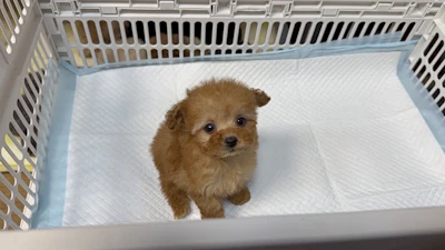 お問合せネーム・192ちゃんの写真 2