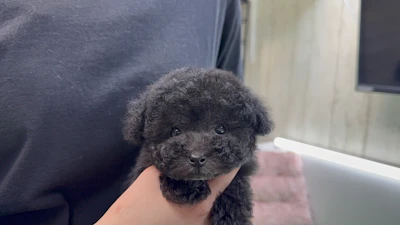 お問合せネーム・539くんの写真 3