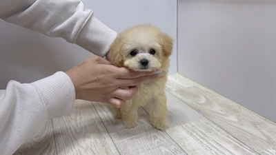 お問合せネーム・690ちゃんの写真 7