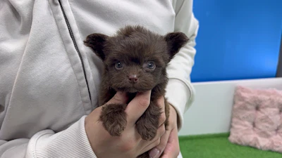 お問合せネーム・039ちゃんの写真 3