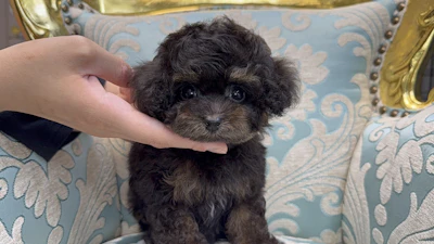 お問合せネーム・282ちゃんの写真 2