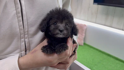 お問合せネーム・699ちゃんの写真 3