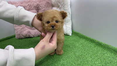 お問合せネーム・338くんの写真 5