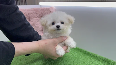 お問合せネーム・021ちゃんの写真 3