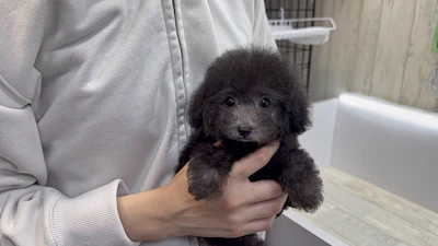 お問合せネーム・487ちゃんの写真 5