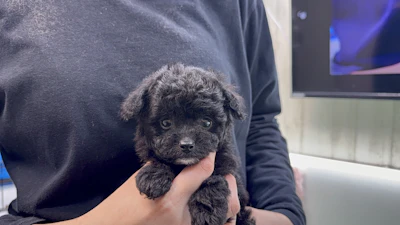 お問あせネーム・447ちゃんの写真 3