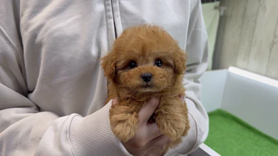 お問合せネーム・541ちゃんの写真 2