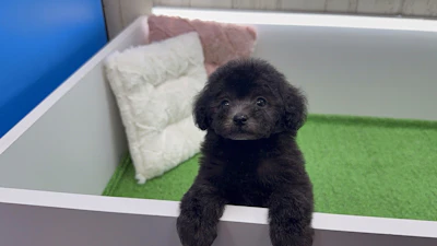 お問合せネーム・179ちゃんの写真 8