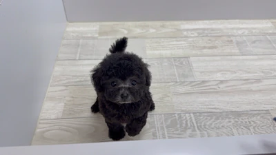 お問合せネーム・037ちゃんの写真 2