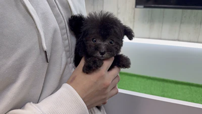 お問合せネーム・762くんの写真 4