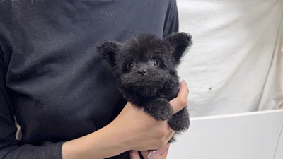 お問合せネーム・717ちゃんの写真 5