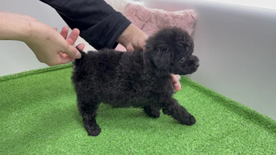 お問合せネーム・432くんの写真 6