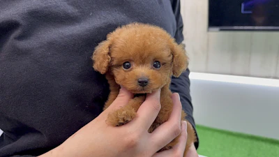 お問合せネーム・724くんの写真 5