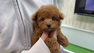 お問合せネーム・484ちゃんの写真 3