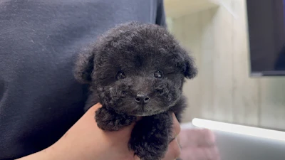 お問合せネーム・539くんの写真 4